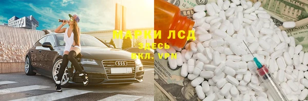 мяу мяу мука Аркадак