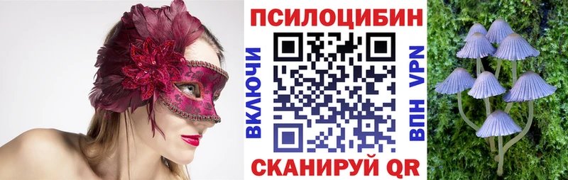 Псилоцибиновые грибы MAGIC MUSHROOMS купить Почеп